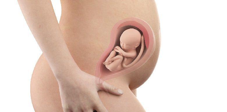 401_bebe-in-utero-semaine-26-28-sa (1)